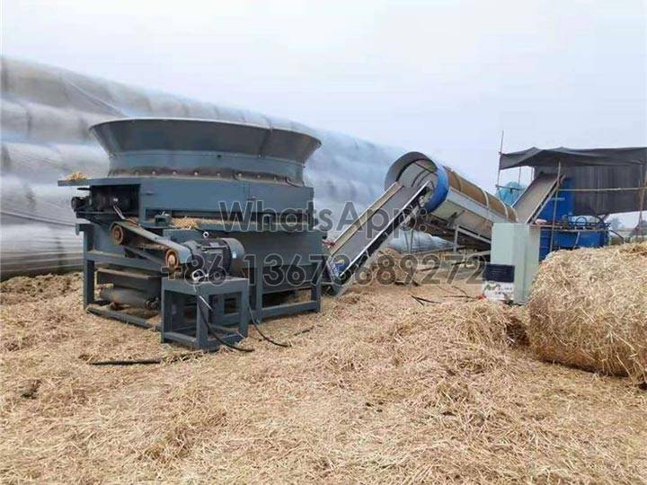 Hay processing line working scene