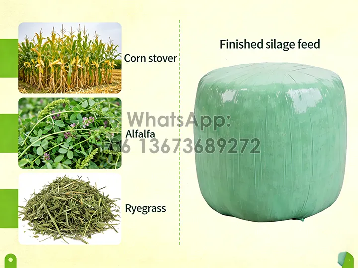 silage processing into round bales