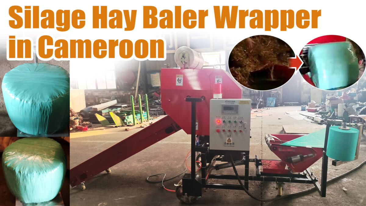 Cameroon Customer Feedback on Silage Baler Machine in Africa Dairy Farm